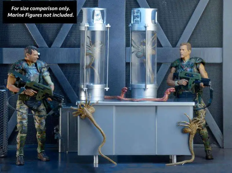 Top 10 ❤️ NECA Aliens 30th Anniversary 7-Inch Deluxe Creature Pack ⭐ 4 Top 10 ❤️ NECA Aliens 30th Anniversary 7-Inch Deluxe Creature Pack ⭐ - Image 2