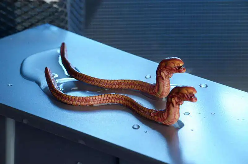 Top 10 ❤️ NECA Aliens 30th Anniversary 7-Inch Deluxe Creature Pack ⭐ 5 Top 10 ❤️ NECA Aliens 30th Anniversary 7-Inch Deluxe Creature Pack ⭐ - Image 3