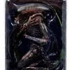 Best Pirce 🎉 NECA Aliens 3 Series 3 🐶 Dog Alien Action Figure 👏 -US Horror Sales 2022 dogalien