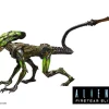 Flash Sale 😍 NECA Fireteam Elite Burster Alien Action Figure 👏 -US Horror Sales 2022 fireteameliteburster