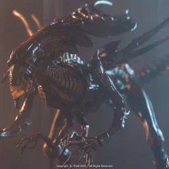 Best deal π Alien Resurrection Cloned Alien Xenomorph Queen Action Figure π₯° 9 Best deal π Alien Resurrection Cloned Alien Xenomorph Queen Action Figure π₯° -US Horror Sales 2022 may218067 inset3 scaled