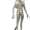 Top 10 β€οΈ NECA Alien Series 7 '79 Concept 'Big Chap' Action Figure π 1 Top 10 β€οΈ NECA Alien Series 7 '79 Concept 'Big Chap' Action Figure π -US Horror Sales 2022 neca79conceptalien