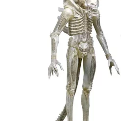 Top 10 ❤️ NECA Alien Series 7 '79 Concept 'Big Chap' Action Figure 👍