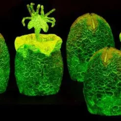 Buy 🎉 NECA Aliens Glow-in-the-Dark Xenomorph Eggs in Carton Set Action Figure 🔔 -US Horror Sales 2022 necaalieneggsglowinthedark inset3