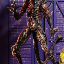Cheapest ✨ NECA Aliens Series 13 Scorpion Alien Action Figure 🥰 -US Horror Sales 2022 necaaliens13scorpionalien inset3