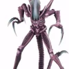 Best reviews of ⭐ NECA Alien vs Predator Arcade Game Razor Claws Alien Action Figure [Ultimate Body] 🎉 -US Horror Sales 2022 necaavpsdccexclusive1