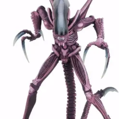 Best reviews of ⭐ NECA Alien vs Predator Arcade Game Razor Claws Alien Action Figure [Ultimate Body] 🎉