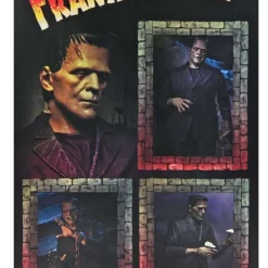 Discount 🛒 NECA Universal Monsters Frankenstein's Monster Action Figure [Ultimate Version, Full Color] 😍 -US Horror Sales 2022 necafrankensteincolor inset2