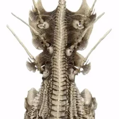 Budget 🤩 NECA Predator Throne 7-Inch Diorama Element ✔️ -US Horror Sales 2022 necapredatorthrone inset2