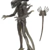 Wholesale 🔔 NECA 40th Anniversary Big Chap Alien Xenomorph Action Figure [Version 2] 🧨 -US Horror Sales 2022 necaultimate40thbigchap2