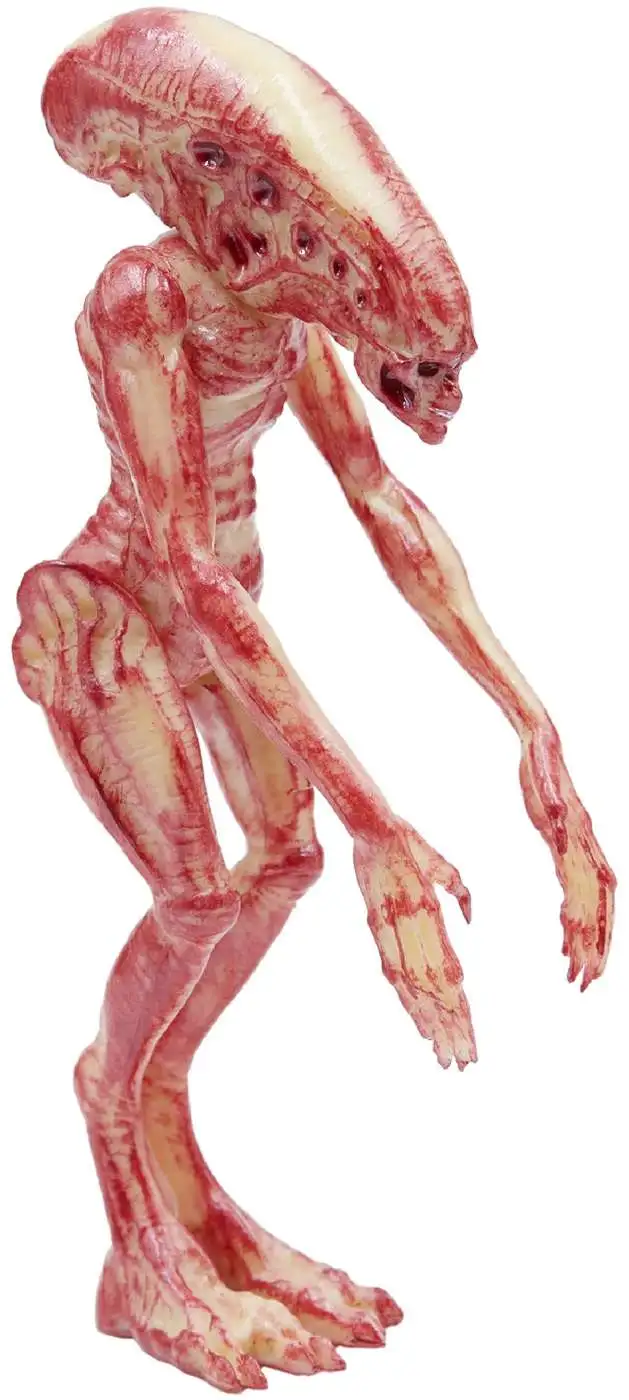 Cheap ✔️ ReAction Alien Xenomorph Newborn Action Figure ⌛ 4 Cheap ✔️ ReAction Alien Xenomorph Newborn Action Figure ⌛ - Image 2